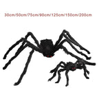 Giant Plush Halloween Spiders