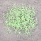 Glow-in-the-Dark Spiders