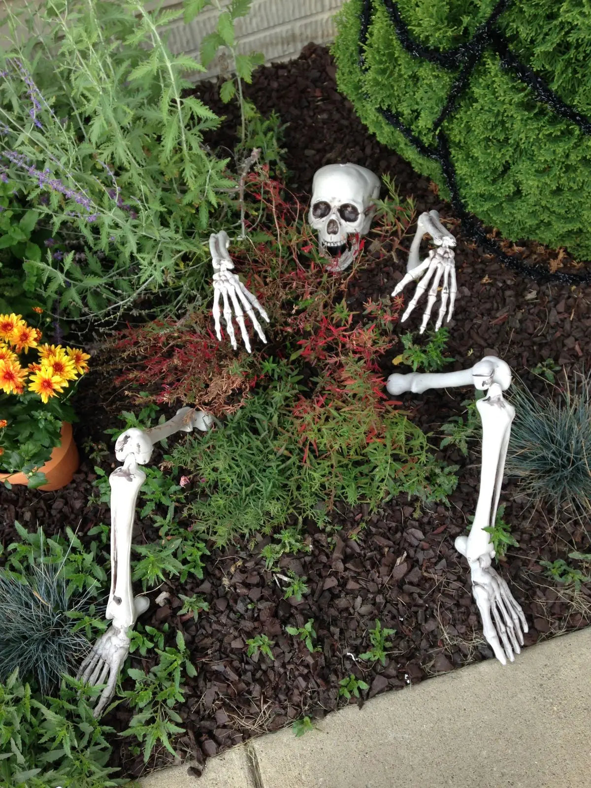 Halloween Skeleton Yard Stakes