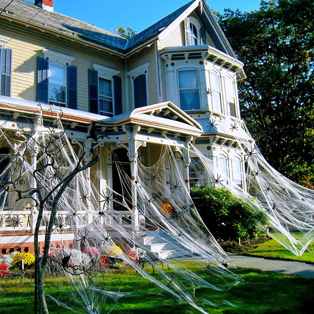 Stretchy Halloween Spider Web