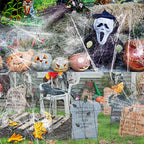Stretchy Halloween Spider Web