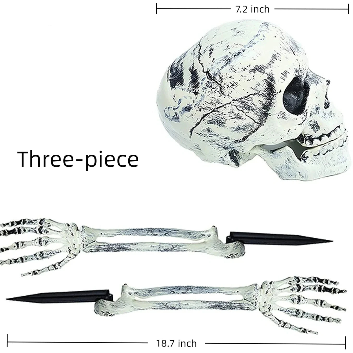 Halloween Skeleton Yard Stakes