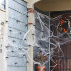 Glow-in-the-Dark Spiders