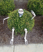 Halloween Skeleton Yard Stakes
